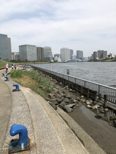 東京月島の石川島公園！子供と水辺の生き物探索もできるオススメ散歩スポット！