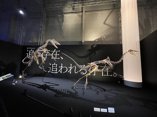 パシフィコ横浜恐竜イベント