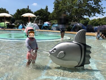 昭和記念公園レインボープール！夏休みに遊びに行きたい幼児プールも充実スポット！